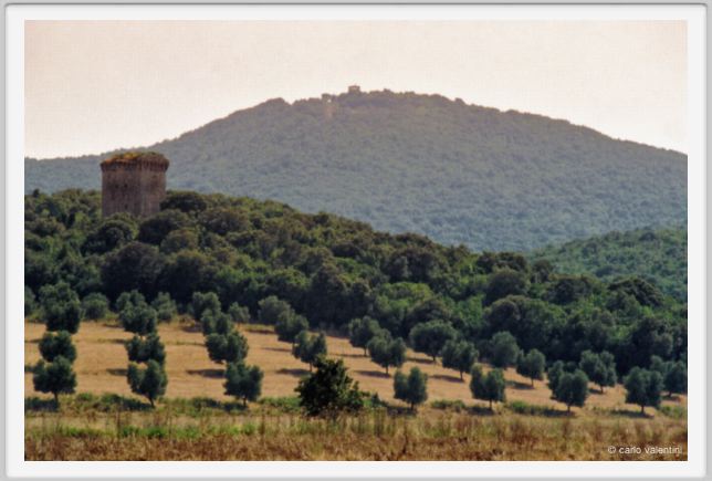 talamone984_31