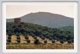 talamone984_31