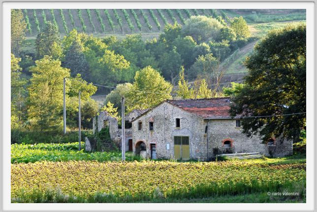 anghiari031