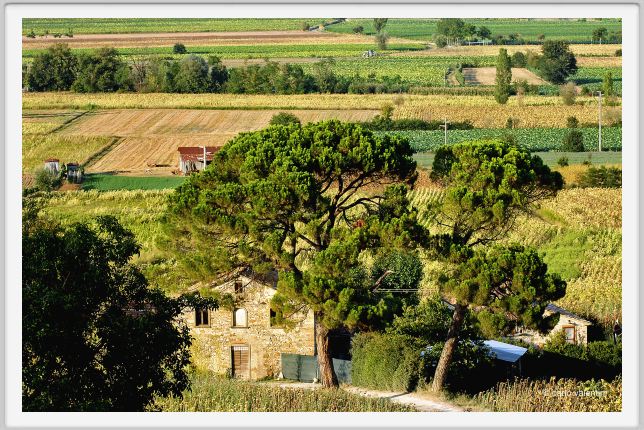anghiari034