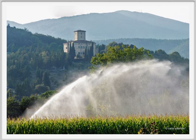 anghiari044