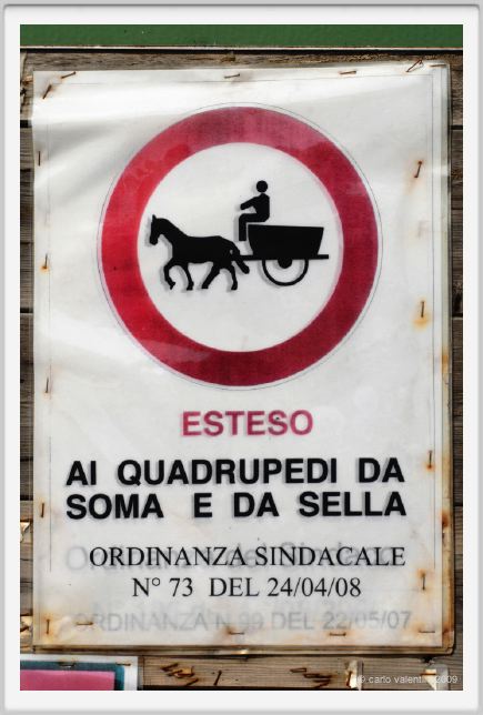 aquila_nera128
