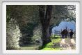 aquila_nera179