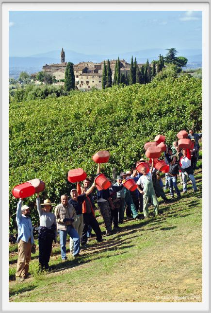 tenuta_di_arceno1119