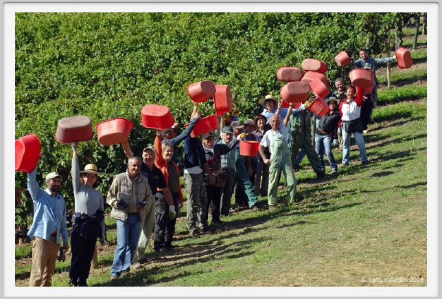 tenuta_di_arceno1122