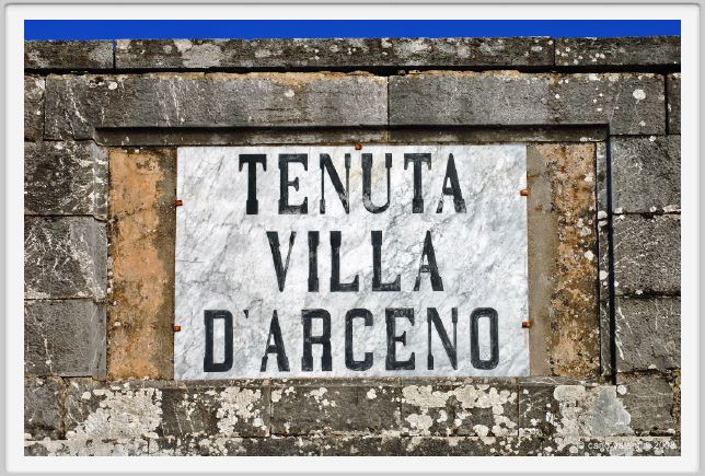 tenuta_di_arceno1185