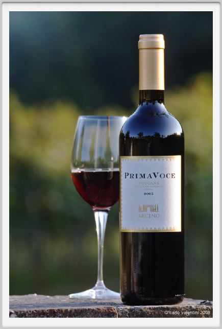 tenuta_di_arceno1186