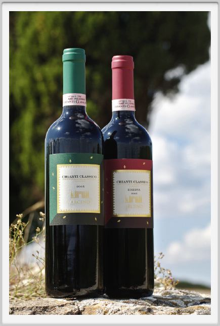 tenuta_di_arceno1196