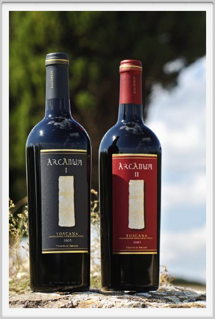 tenuta_di_arceno1197