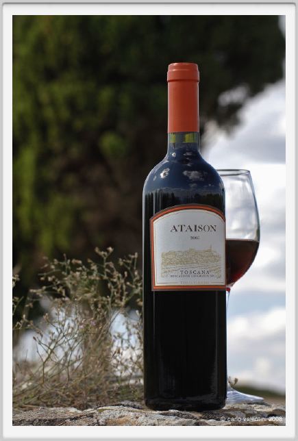 tenuta_di_arceno1199