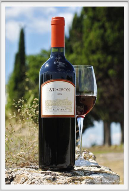 tenuta_di_arceno1202