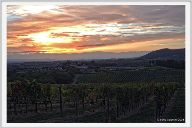 tenuta_di_arceno1329