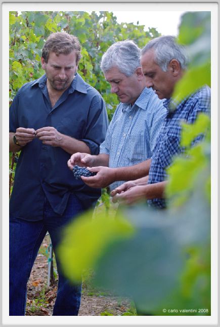 tenuta_di_arceno1213