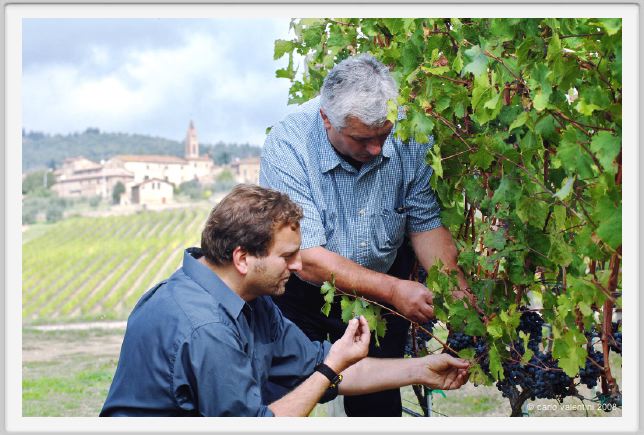 tenuta_di_arceno1219