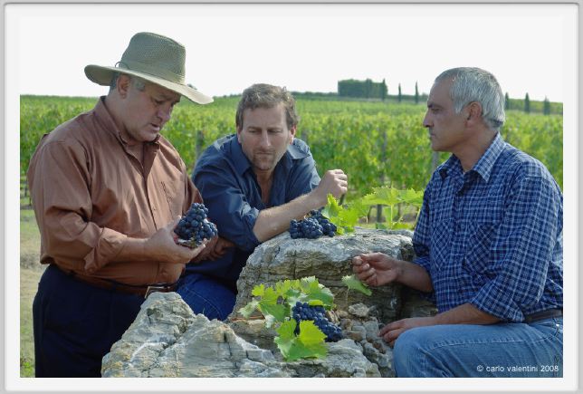 tenuta_di_arceno1223