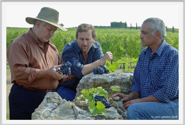 tenuta_di_arceno1224