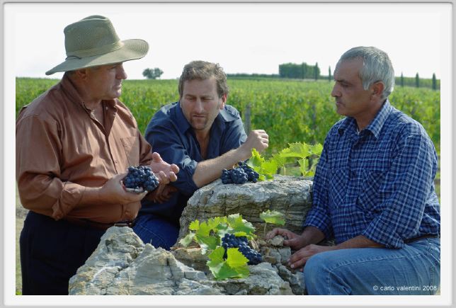 tenuta_di_arceno1226