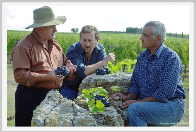 tenuta_di_arceno1227