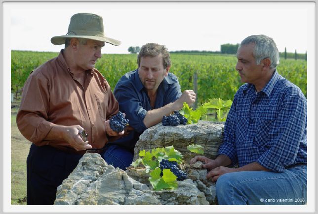 tenuta_di_arceno1228