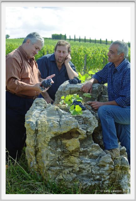 tenuta_di_arceno1229