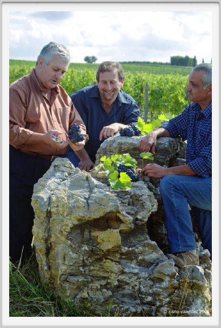 tenuta_di_arceno1231