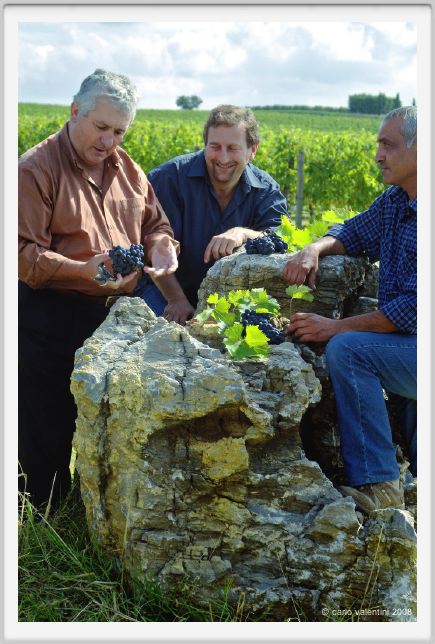 tenuta_di_arceno1233