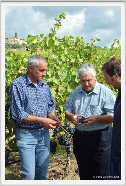 tenuta_di_arceno1205