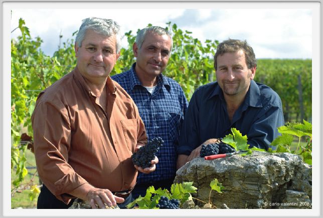 tenuta_di_arceno1244