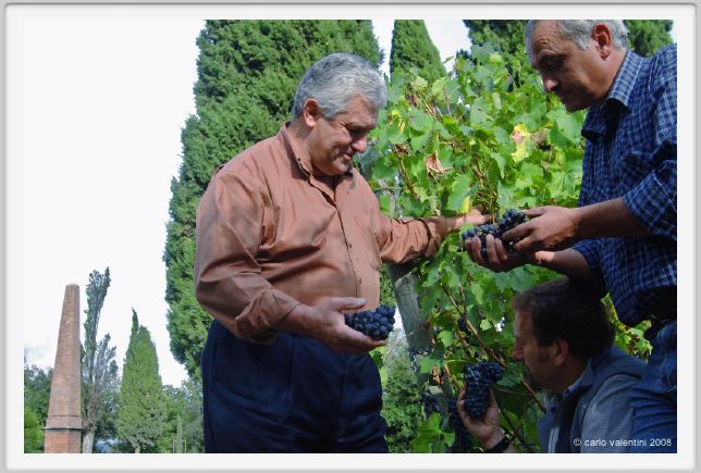 tenuta_di_arceno1250