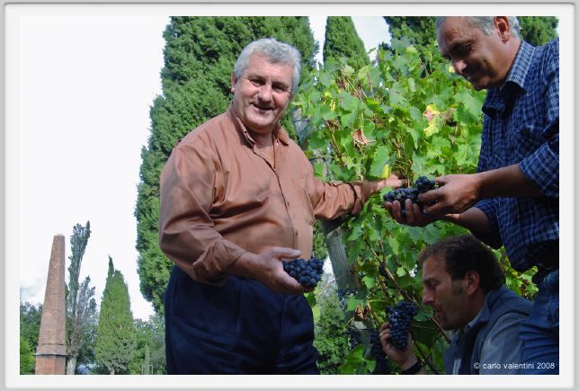 tenuta_di_arceno1251