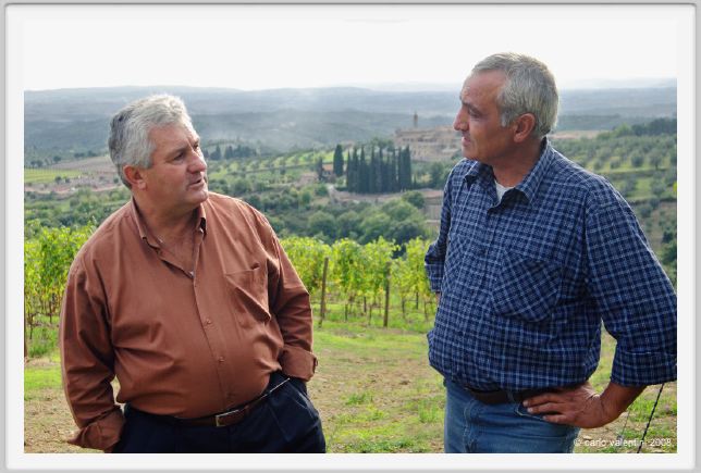 tenuta_di_arceno1256