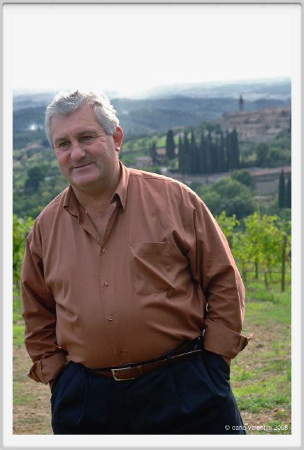 tenuta_di_arceno1257