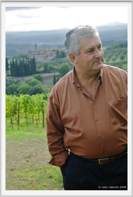 tenuta_di_arceno1261