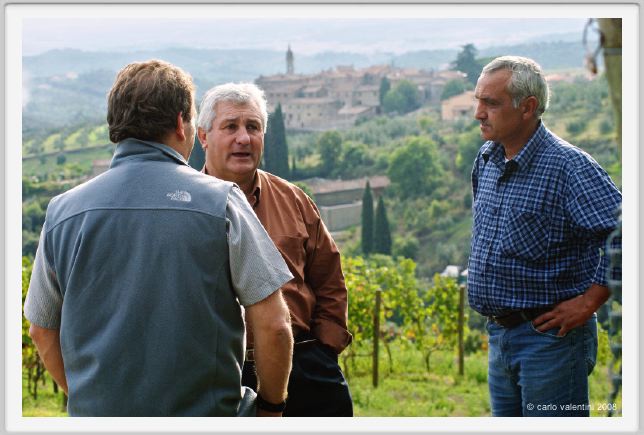 tenuta_di_arceno1262