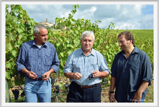 tenuta_di_arceno1207