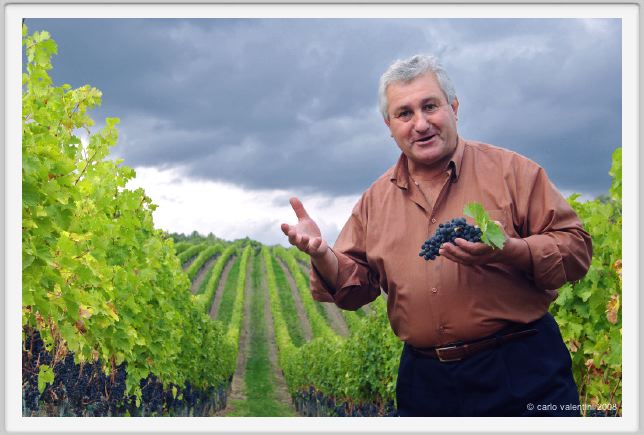 tenuta_di_arceno1267