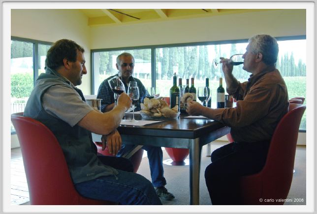 tenuta_di_arceno1271