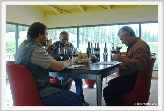 tenuta_di_arceno1274