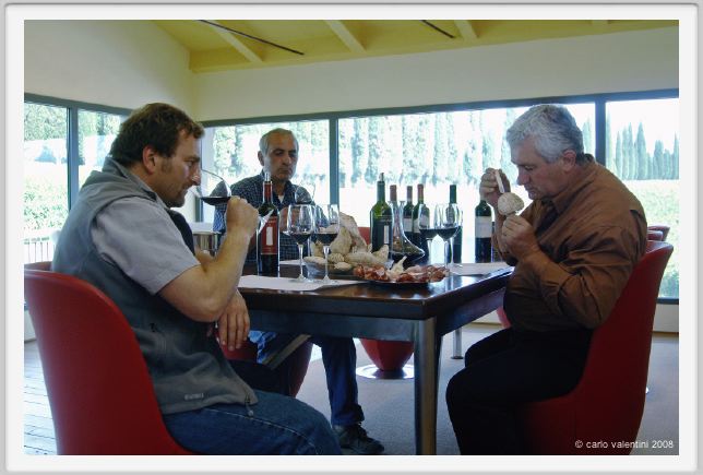 tenuta_di_arceno1276