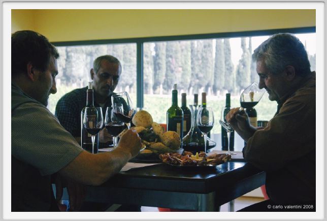 tenuta_di_arceno1284