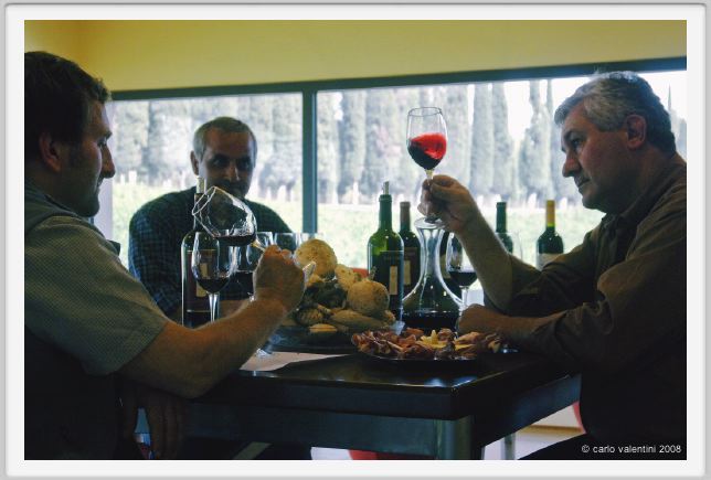 tenuta_di_arceno1285