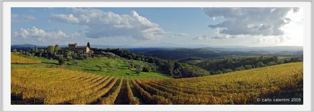 tenuta_di_arceno1560