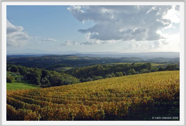 tenuta_di_arceno1561