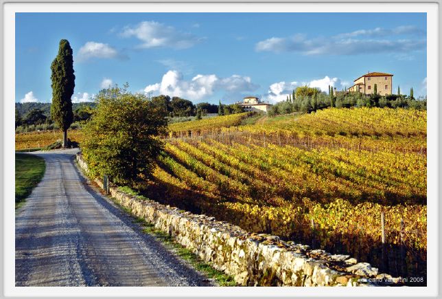 tenuta_di_arceno1600