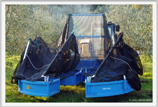 tenuta_di_arceno1617