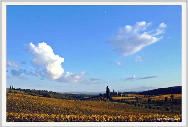 tenuta_di_arceno1627