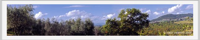 tenuta_di_arceno1434