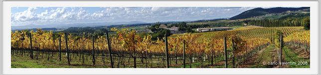 tenuta_di_arceno1506