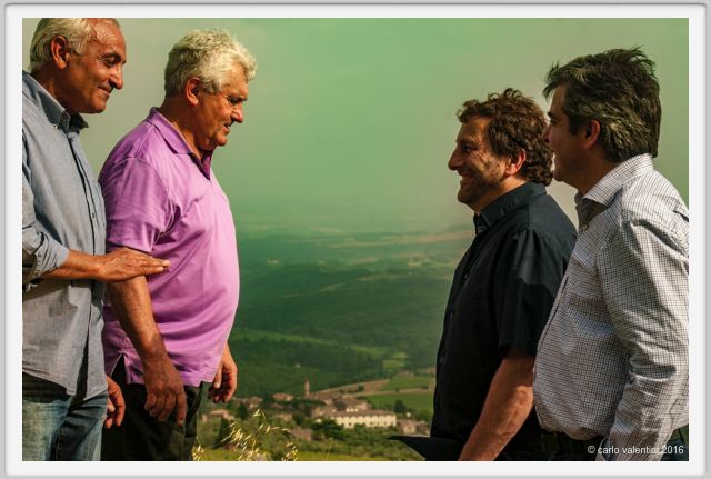 tenuta_di_arceno1351