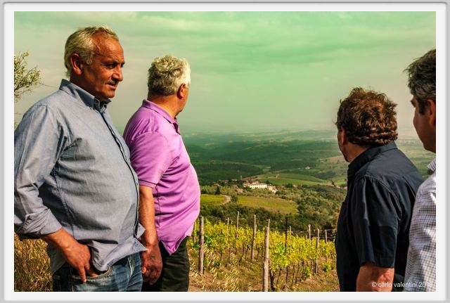 tenuta_di_arceno1352